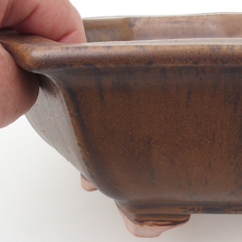 Coupe bonsaï H53 - 19 x 21,5 x 7 cm - marron