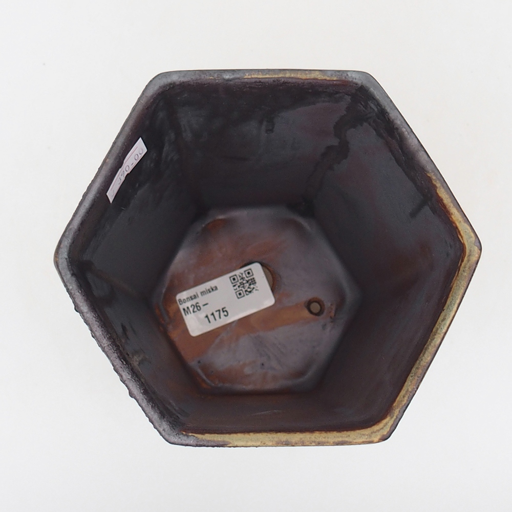 Bol à bonsaï en céramique 13 x 11,5 x 17 cm, vert