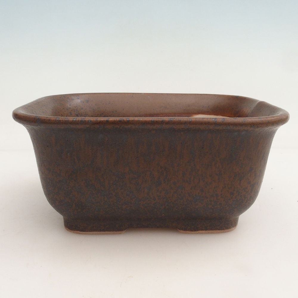 Bol Bonsaï + soucoupe H36 - 17 x 15 x 7,5 cm - marron