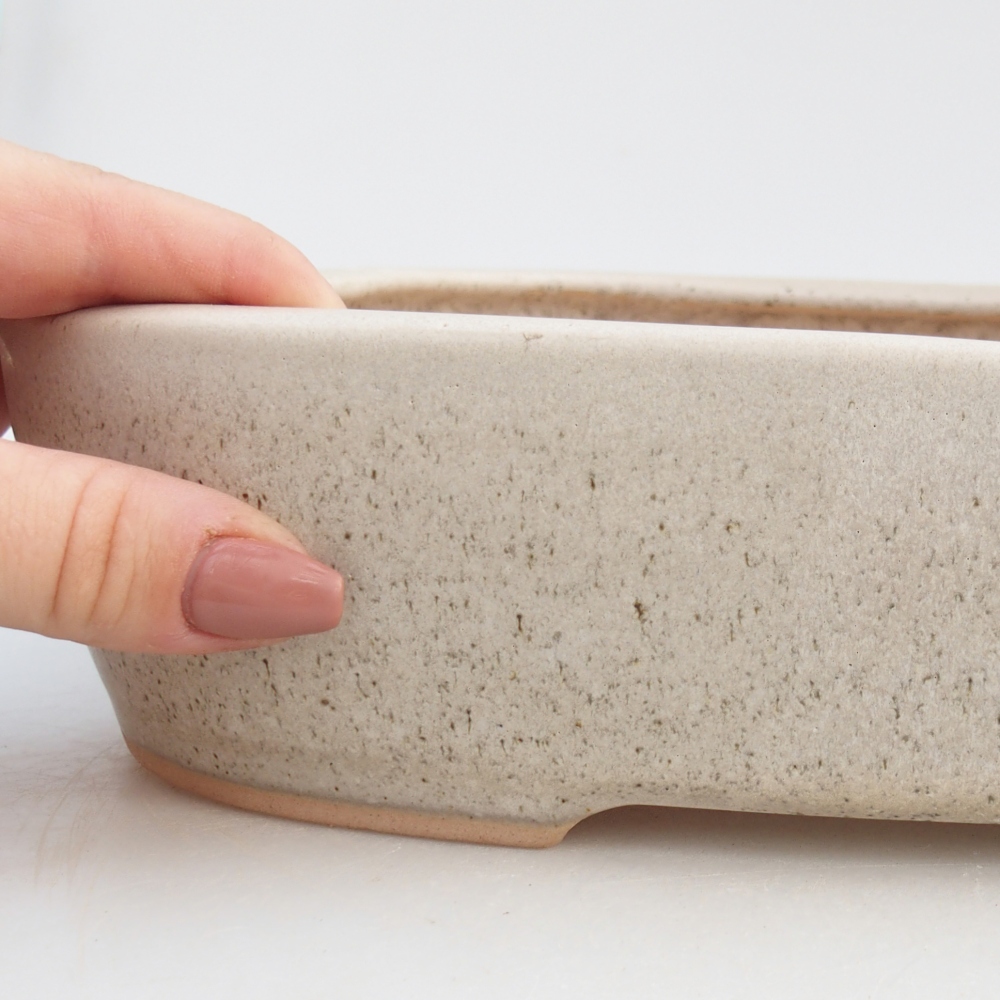 Bol à bonsaï en céramique 31,5 x 24 x 6 cm, couleur beige