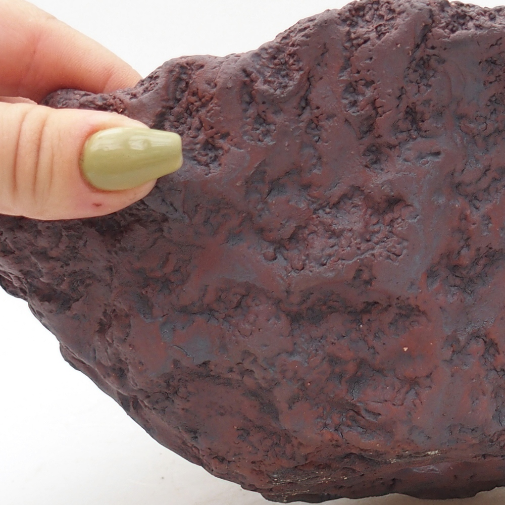 Coquille en céramique 20 x 16 x 15,5 cm , couleur marron