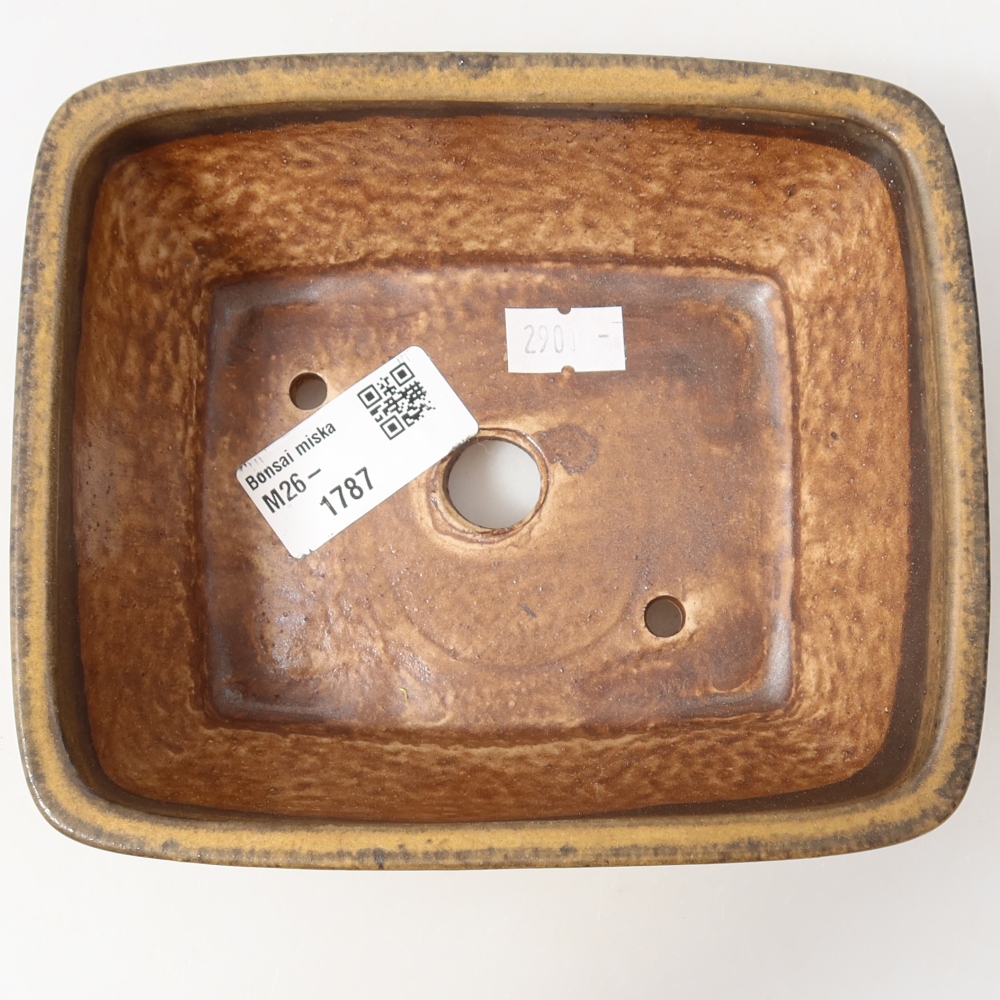 Pot à bonsaï en céramique 15 x 12 x 5,5 cm, couleur marron