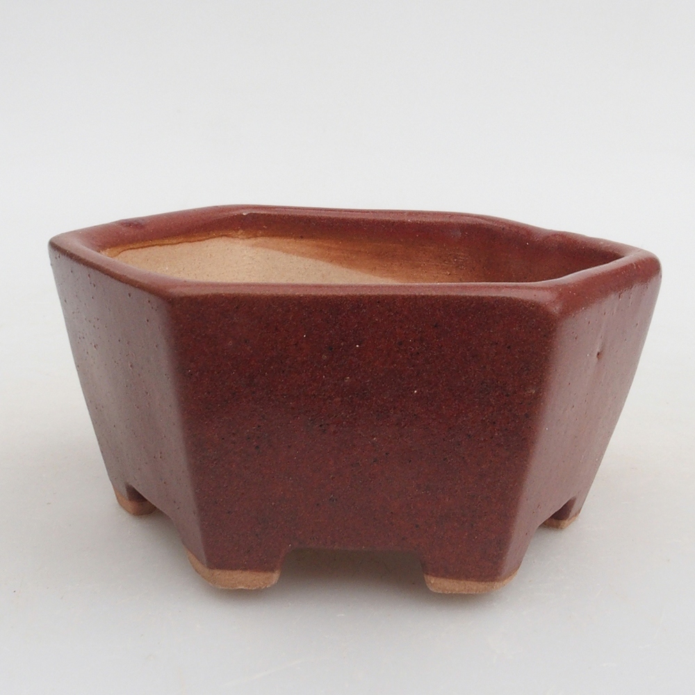 Bol à bonsaï en céramique 9,5 x 9 x 4,5 cm, brun