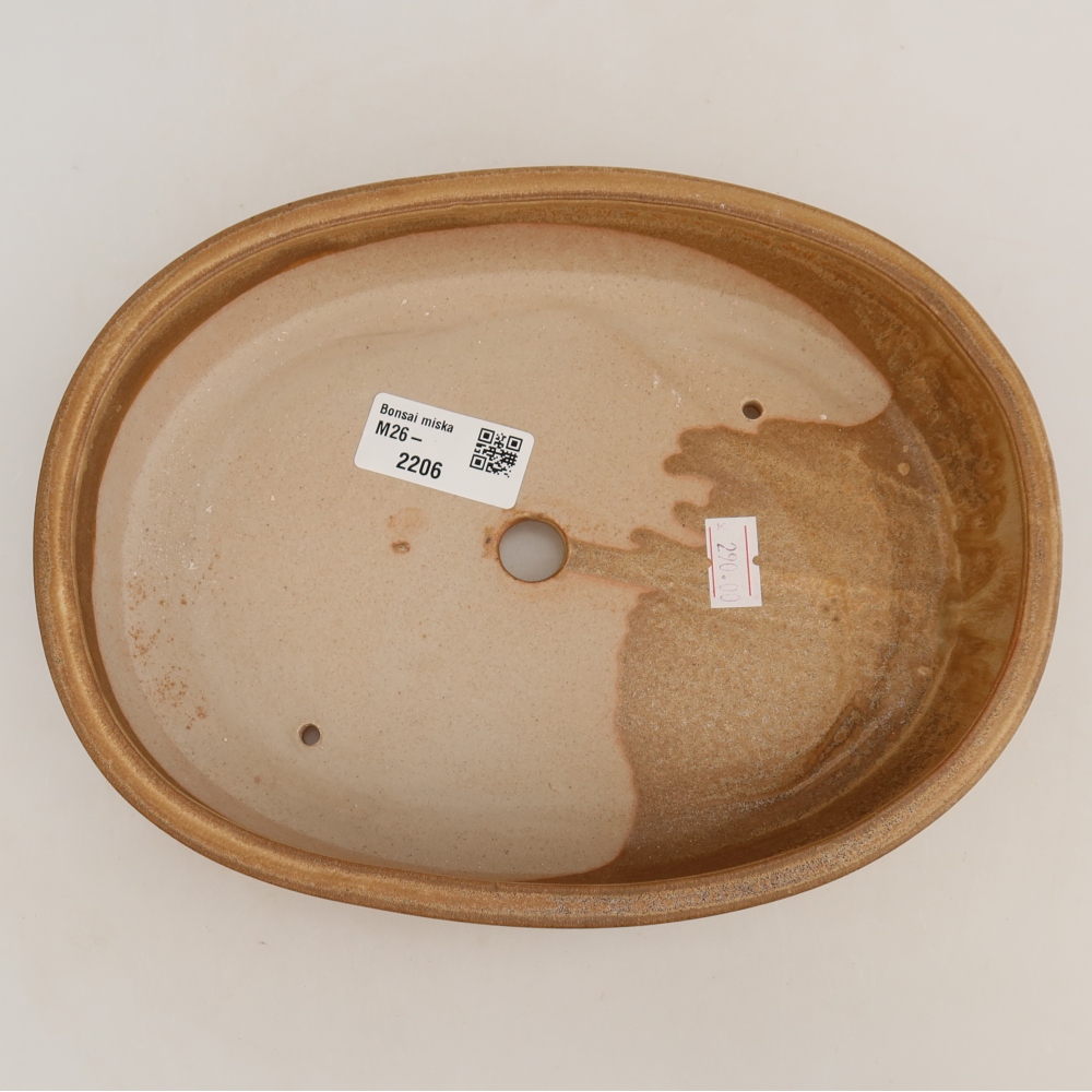 Bol à bonsaï en céramique 22 x 17 x 4 cm, couleur beige