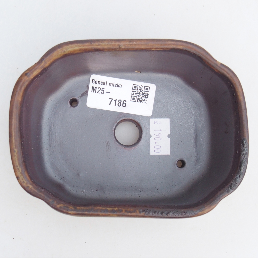 Bol à bonsaï en céramique 12,5 x 9,5 x 4,5 cm, brun