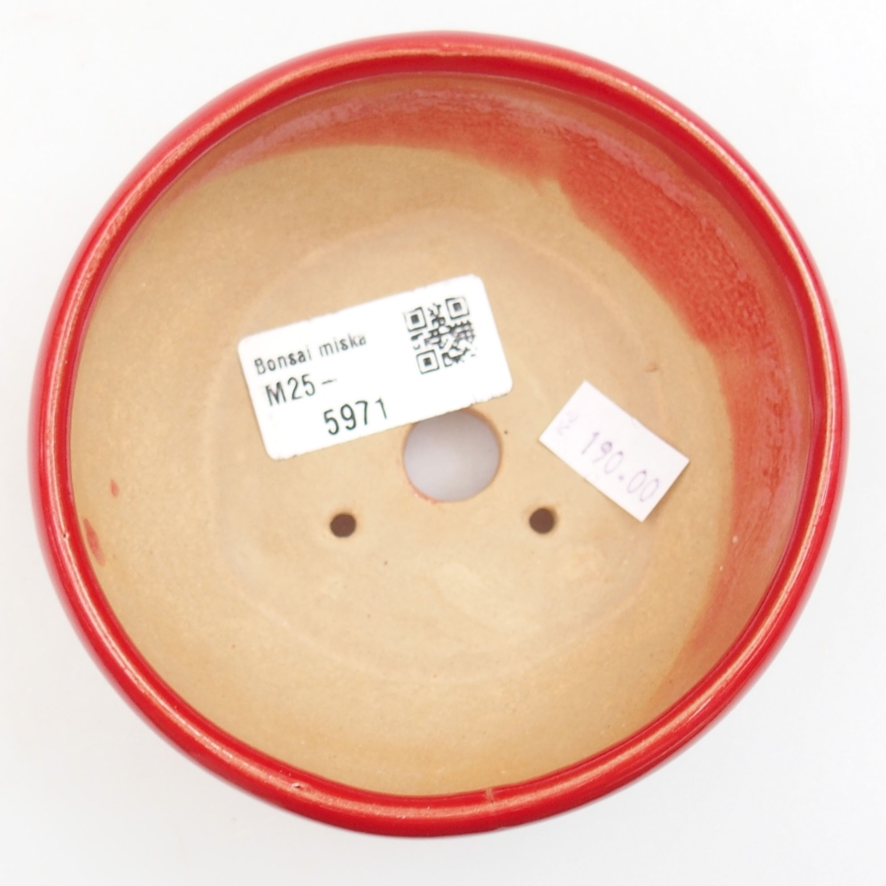 Bol à bonsaï en céramique 22 x 17 x 5 cm, vert