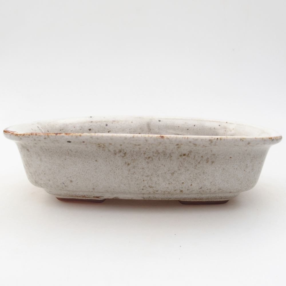 Bol à bonsaï en céramique 18,5 x 13,5 x 5 cm, couleur blanc