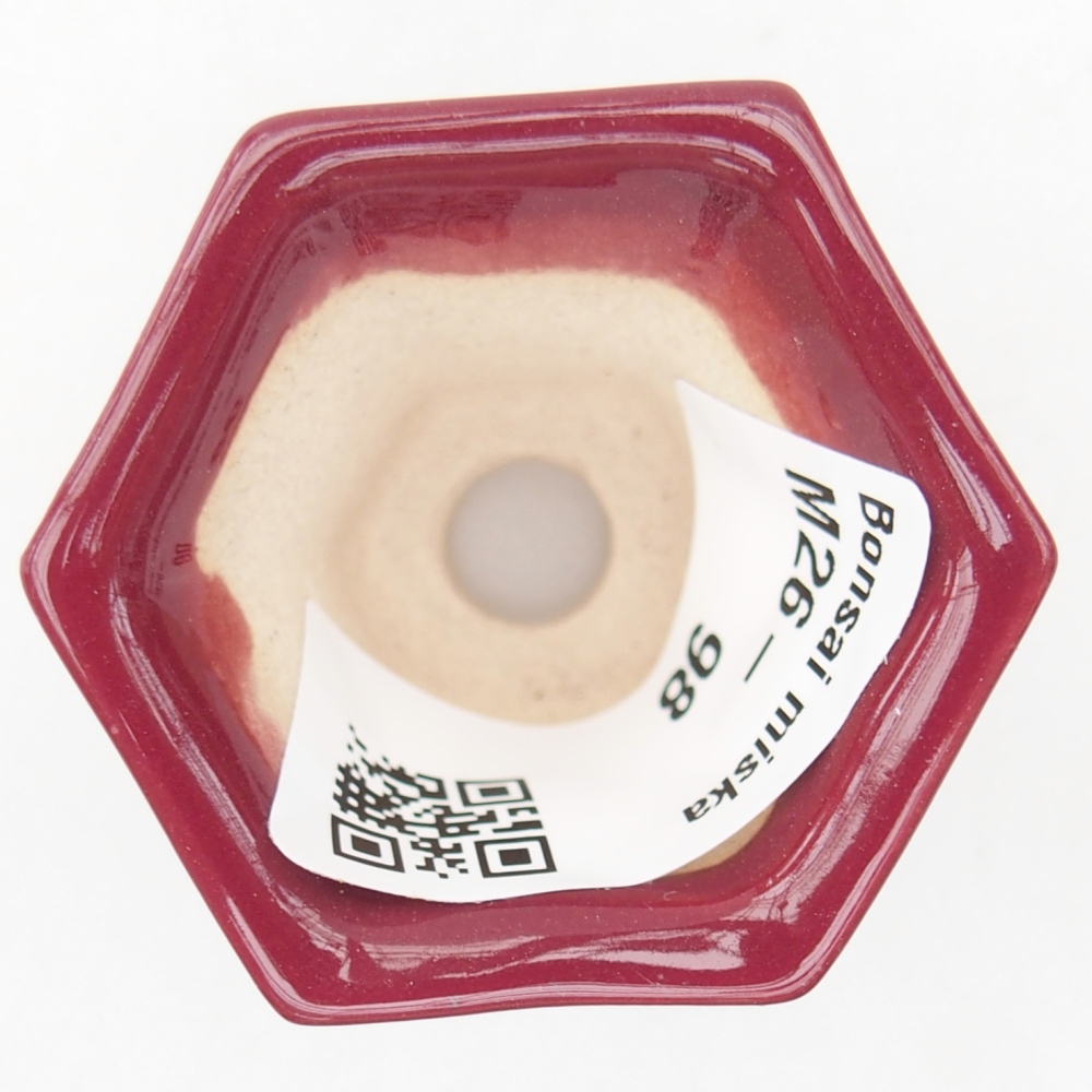 Mini bol bonsaï 4 x 4 x 3,5 cm, bordeaux