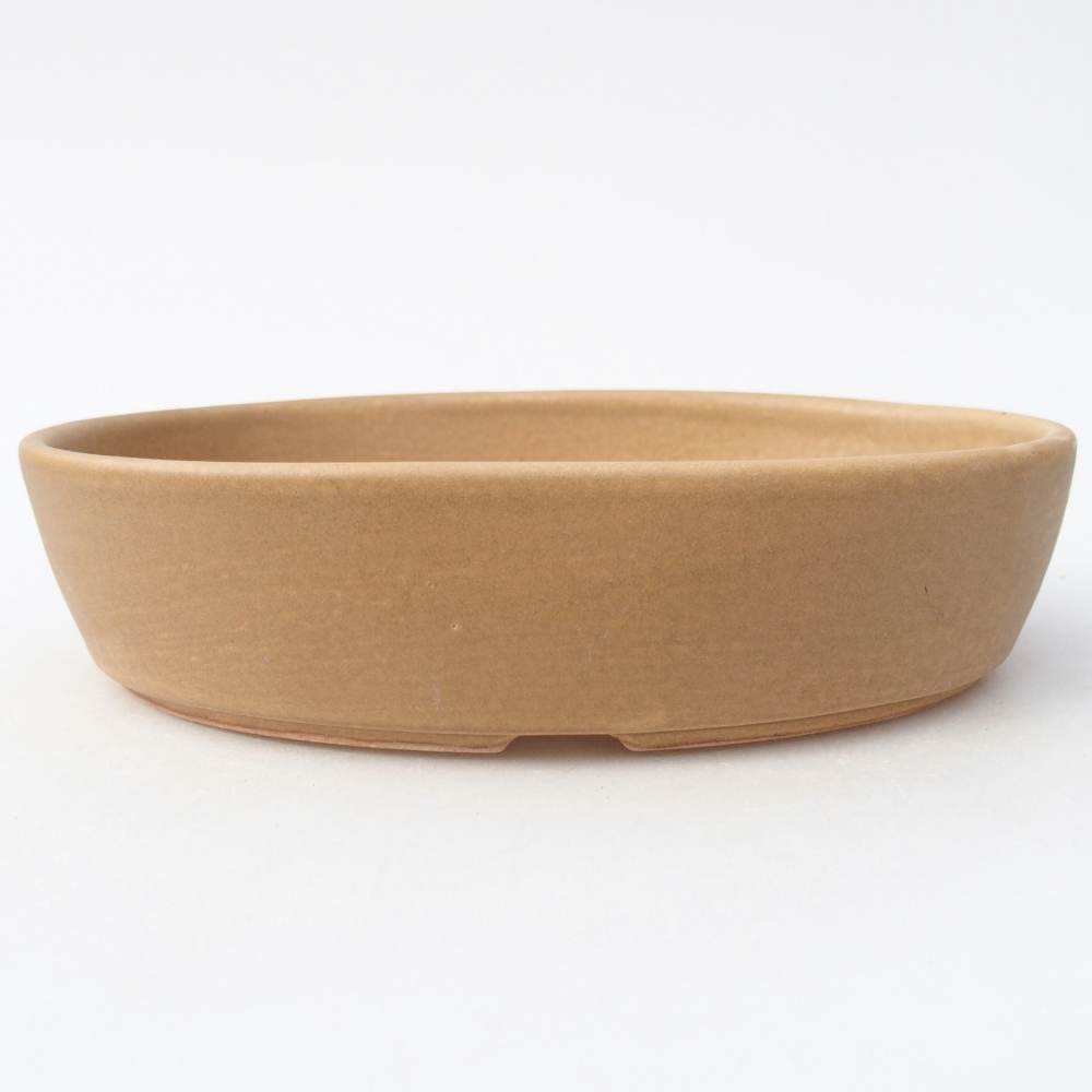 Bol à bonsaï en céramique 18,5 x 13,5 x 4,5 cm, couleur beige