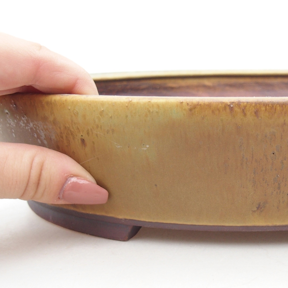 Bol à bonsaï en céramique 28 x 24,5 x 6 cm, vert