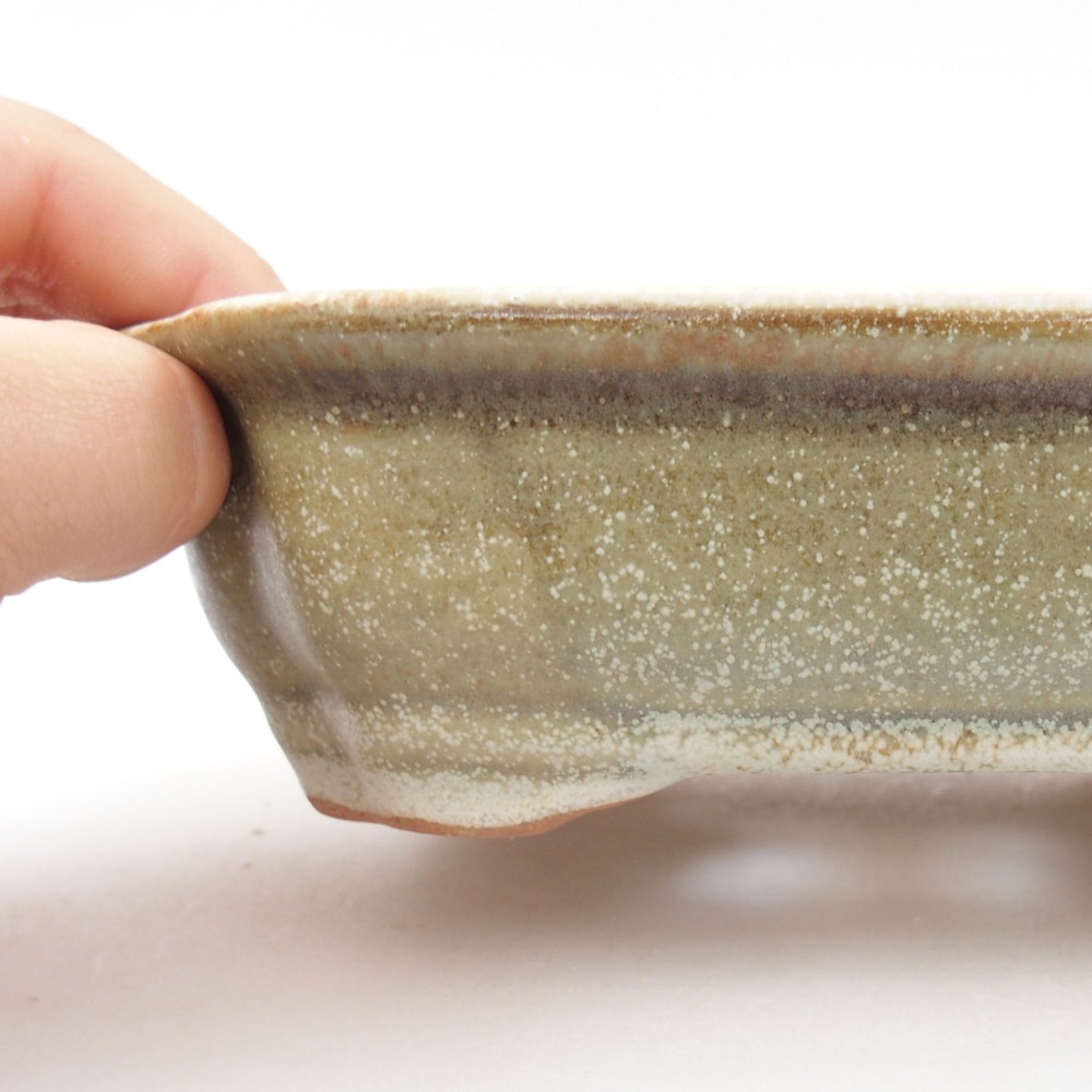 Bol à bonsaï en céramique 22 x 17 x 5 cm, vert