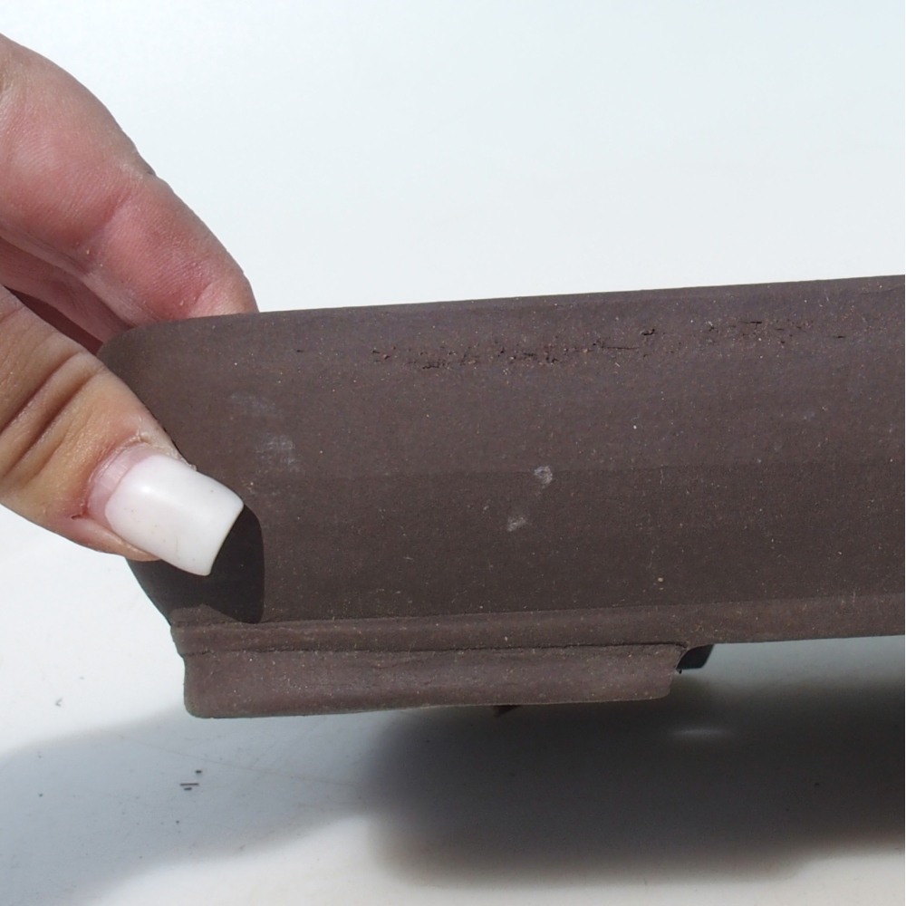 Bol pour bonsaï 25,5 x 17,5 x 5 cm bouleau brun