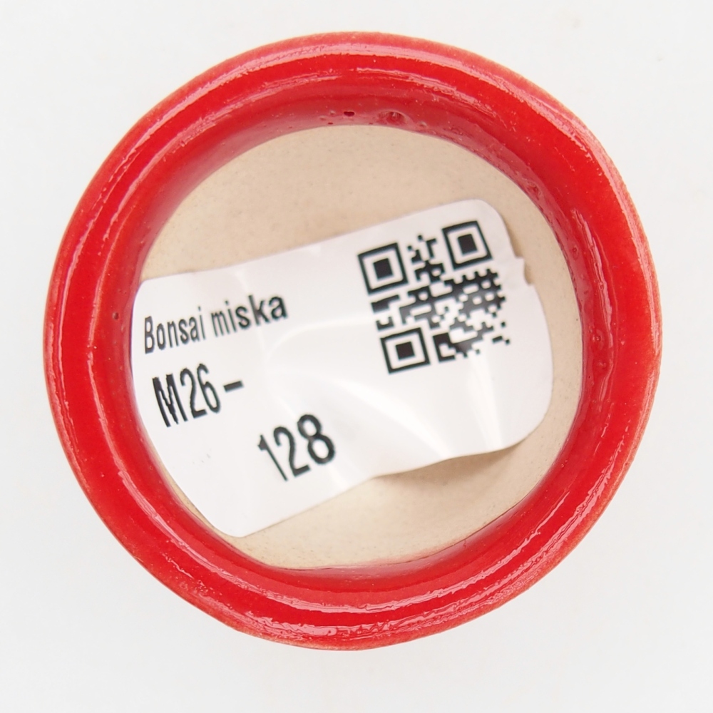 Mini bol bonsaï 4 x 4 x 2,5 cm, couleur rouge