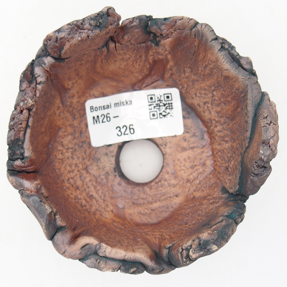 Coquille en céramique 9 x 9 x 6 cm , couleur verte