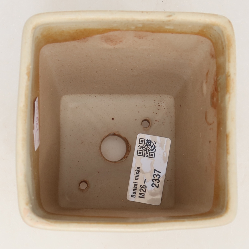 Pot à bonsaï en céramique 9 x 9 x 11,5 cm, couleur beige