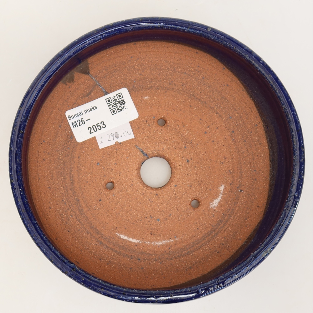 Pot à bonsaï en céramique 15,5 x 15,5 x 5 cm, couleur bleue