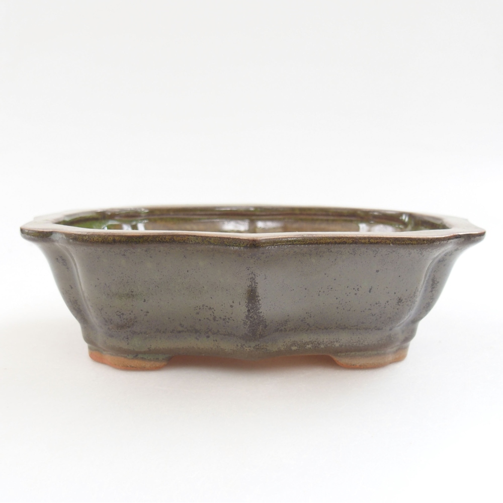 Bol à bonsaï en céramique 22 x 17 x 5 cm, vert