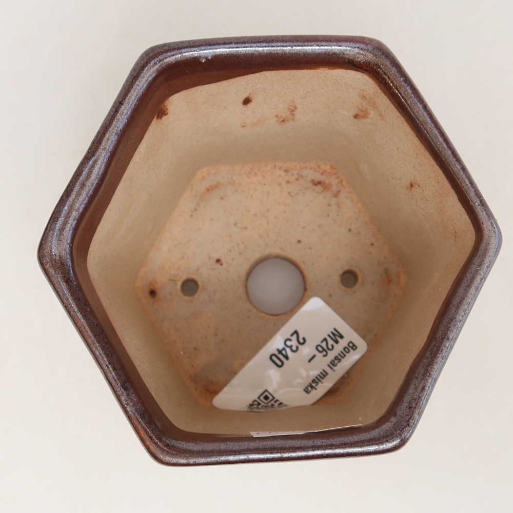 Pot à bonsaï en céramique 9 x 8 x 8 cm, couleur marron