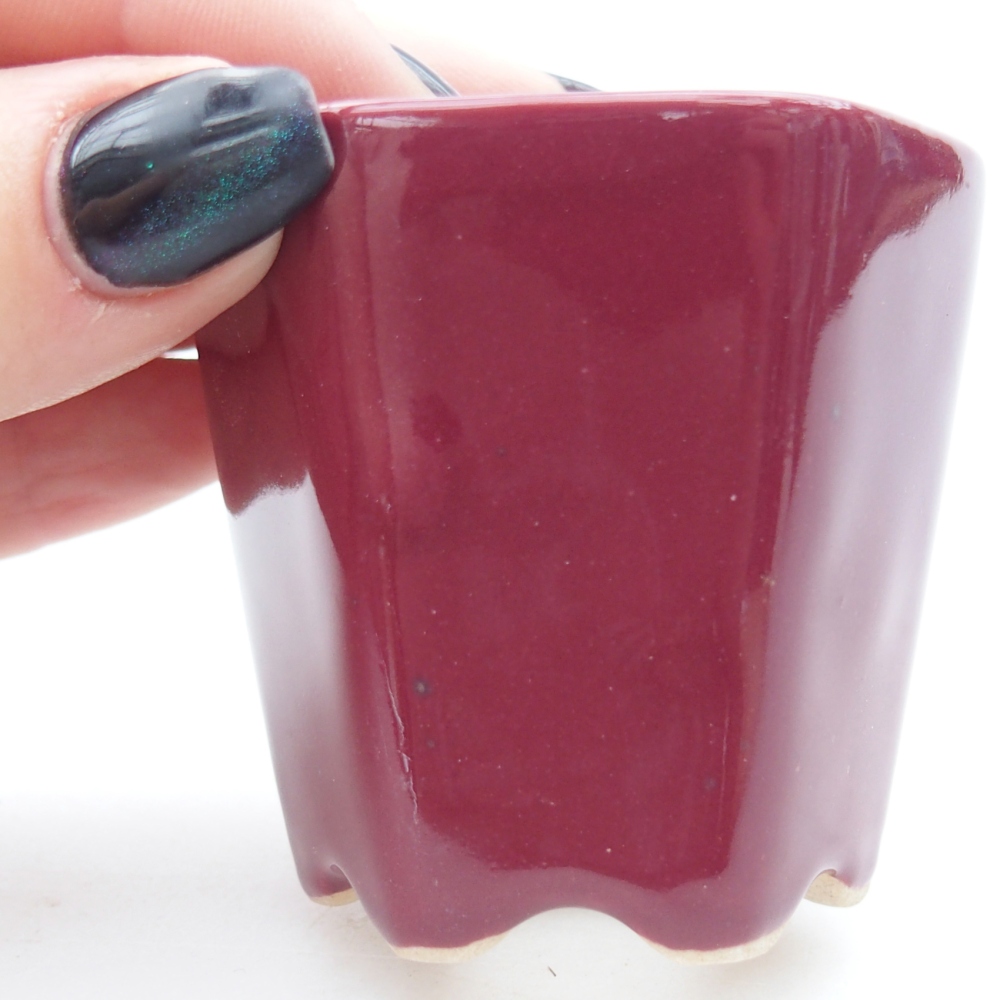 Mini bol bonsaï 5,5 x 5 x 5 cm, couleur bordeaux