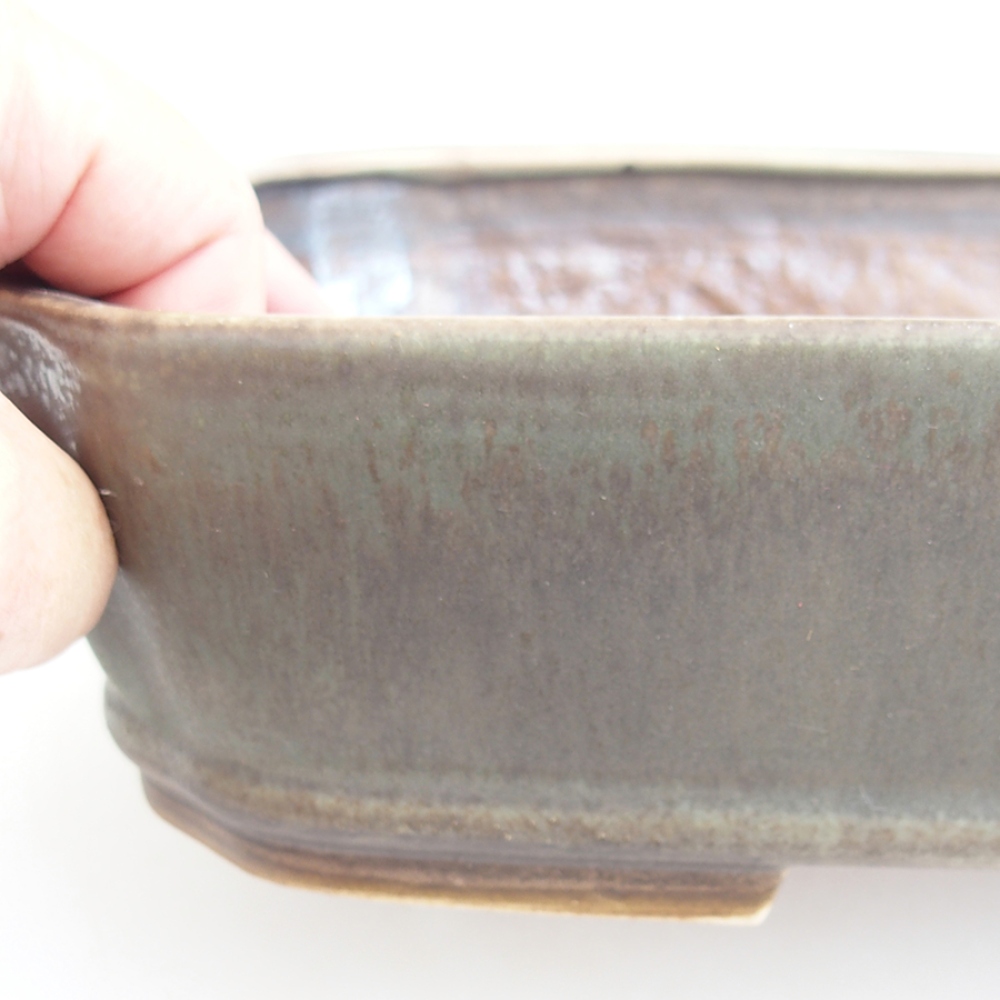 Bol à bonsaï en céramique 24 x 20,5 x 6 cm, vert