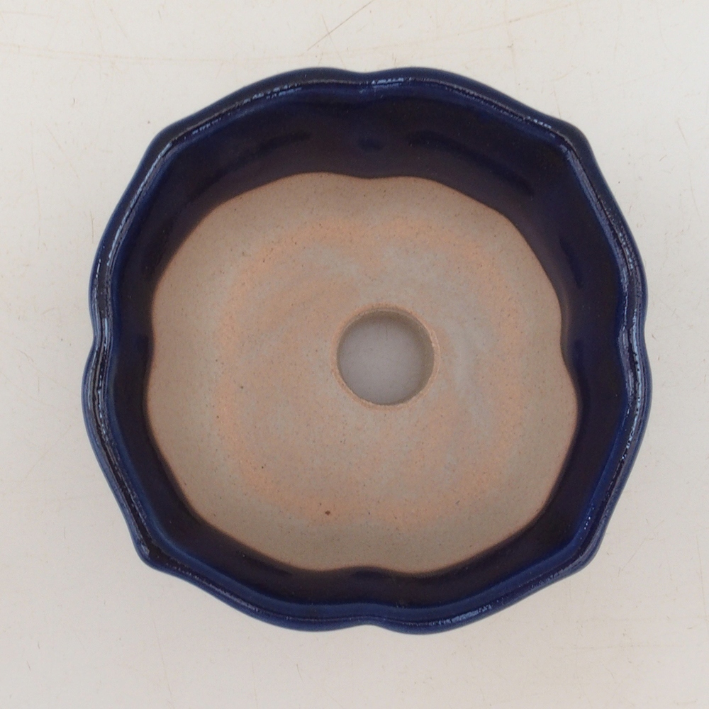 Coupe bonsaï H95 - 7,5 x 7,5 x 4 cm - bleu