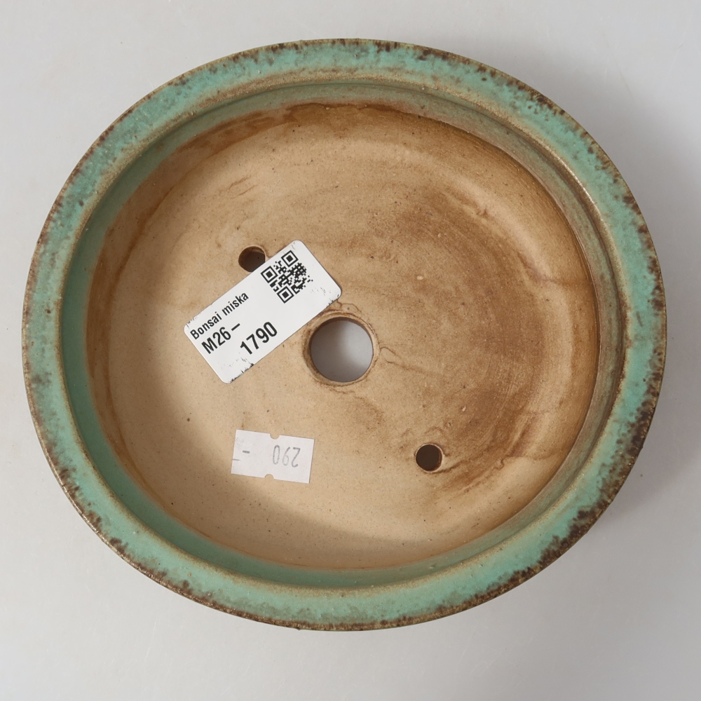 Pot à bonsaï en céramique 15,5 x 14,5 x 4 cm, couleur verte