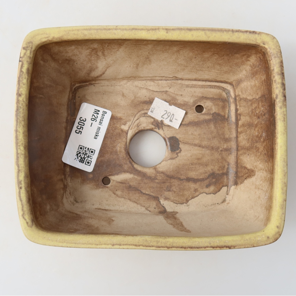 Pot à bonsaï en céramique 15 x 12,5 x 5,5 cm, couleur jaune