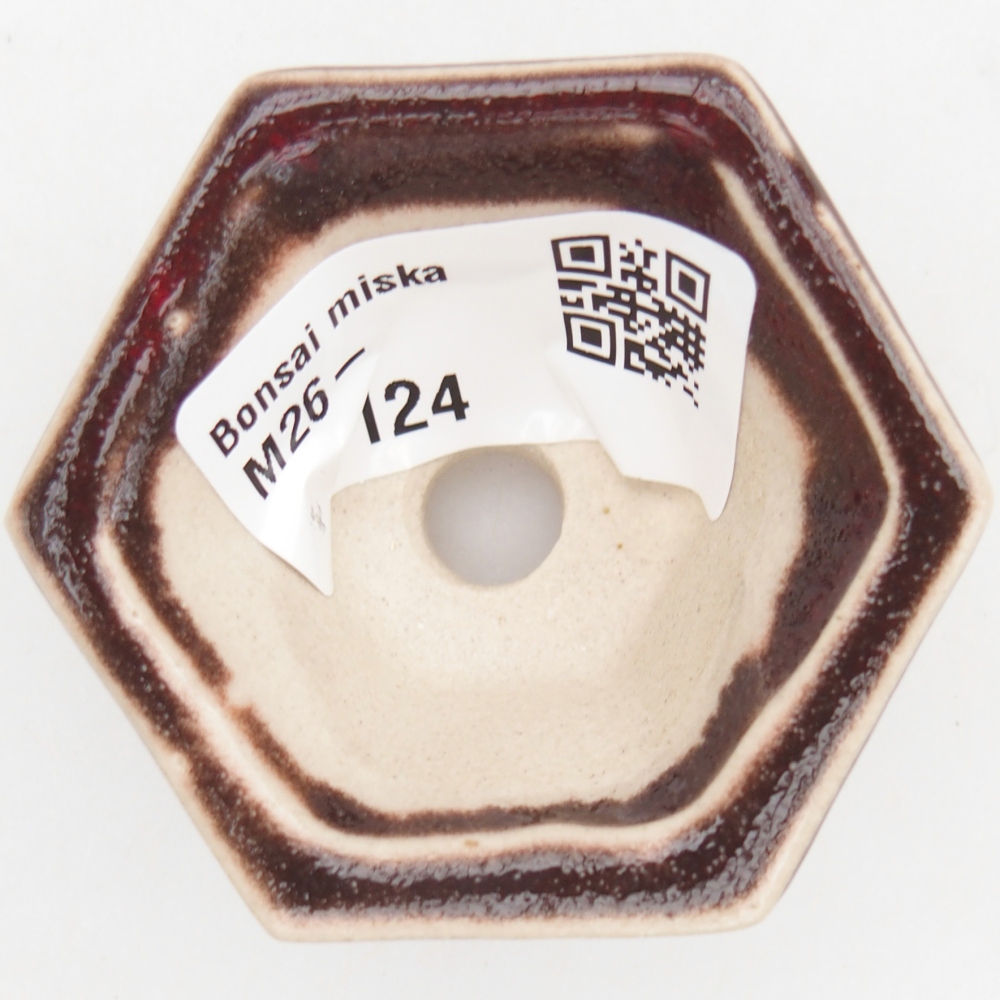 Mini bol bonsaï 5,5 x 5 x 3 cm, couleur rouge