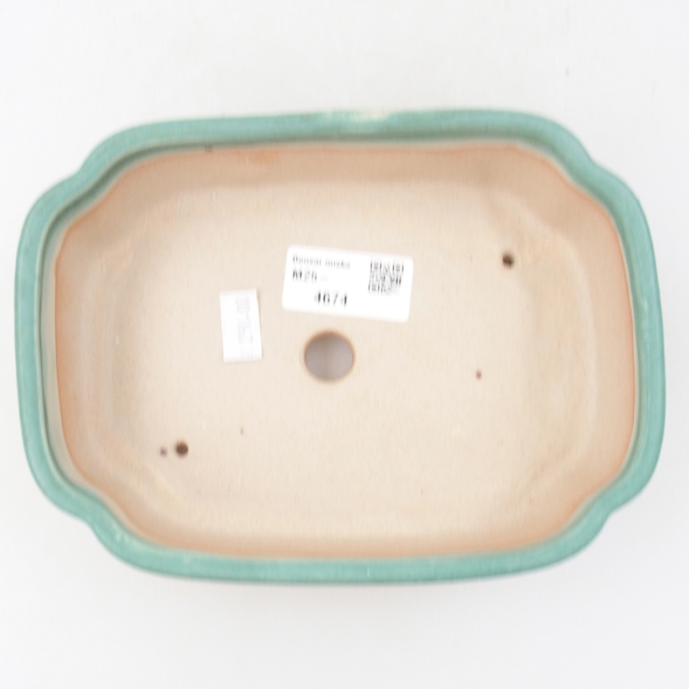 Bol à bonsaï en céramique 18 x 13 x 5 cm, vert