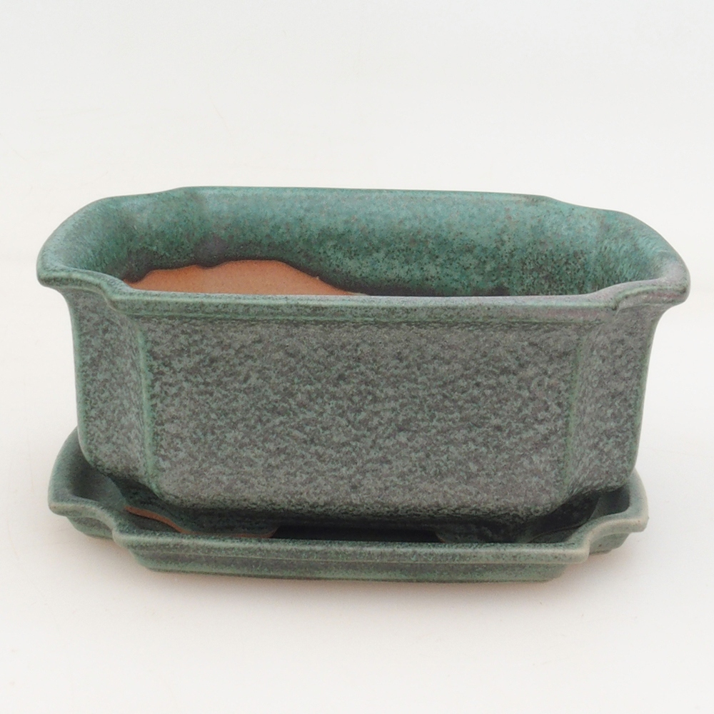 Bol Bonsaï + soucoupe H01 - vert