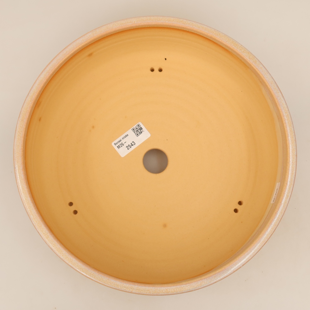 Pot à bonsaï en céramique 27 x 27 x 7 cm, couleur beige