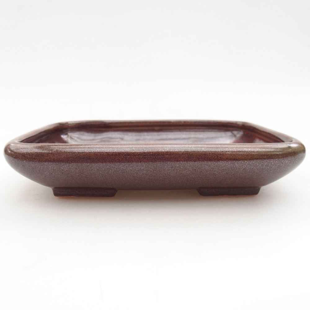 Bol à bonsaï en céramique 17 x 14 x 3,5 cm, brun