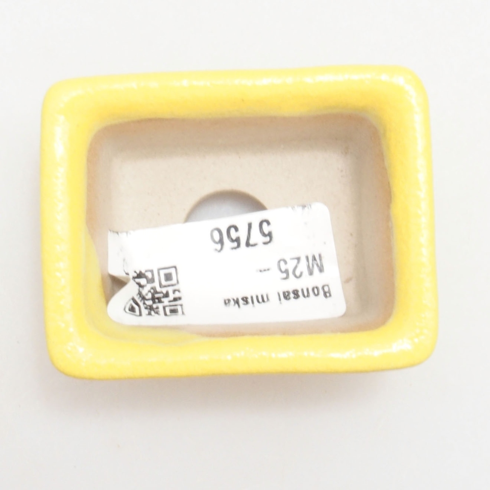 Bol à bonsaï en céramique 5,5 x 4 x 2,5 cm, jaune