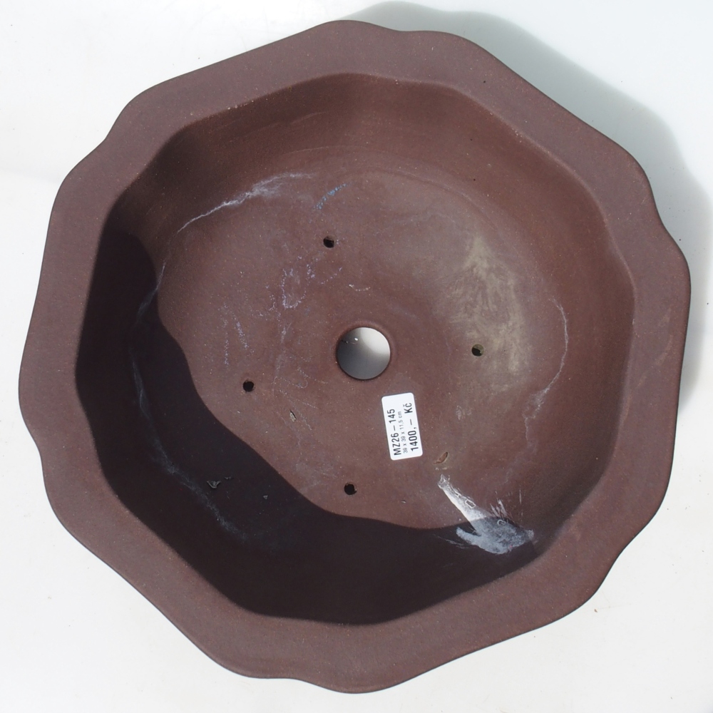 Bol pour bonsaï 39 x 39 x 11,5 cm bouleau brun