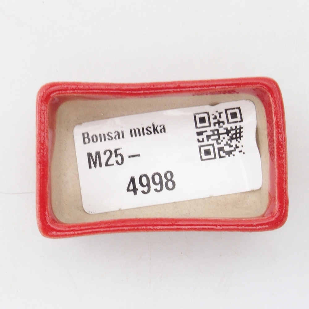 Mini bol bonsaï 5 x 3 x 2 cm, couleur rouge