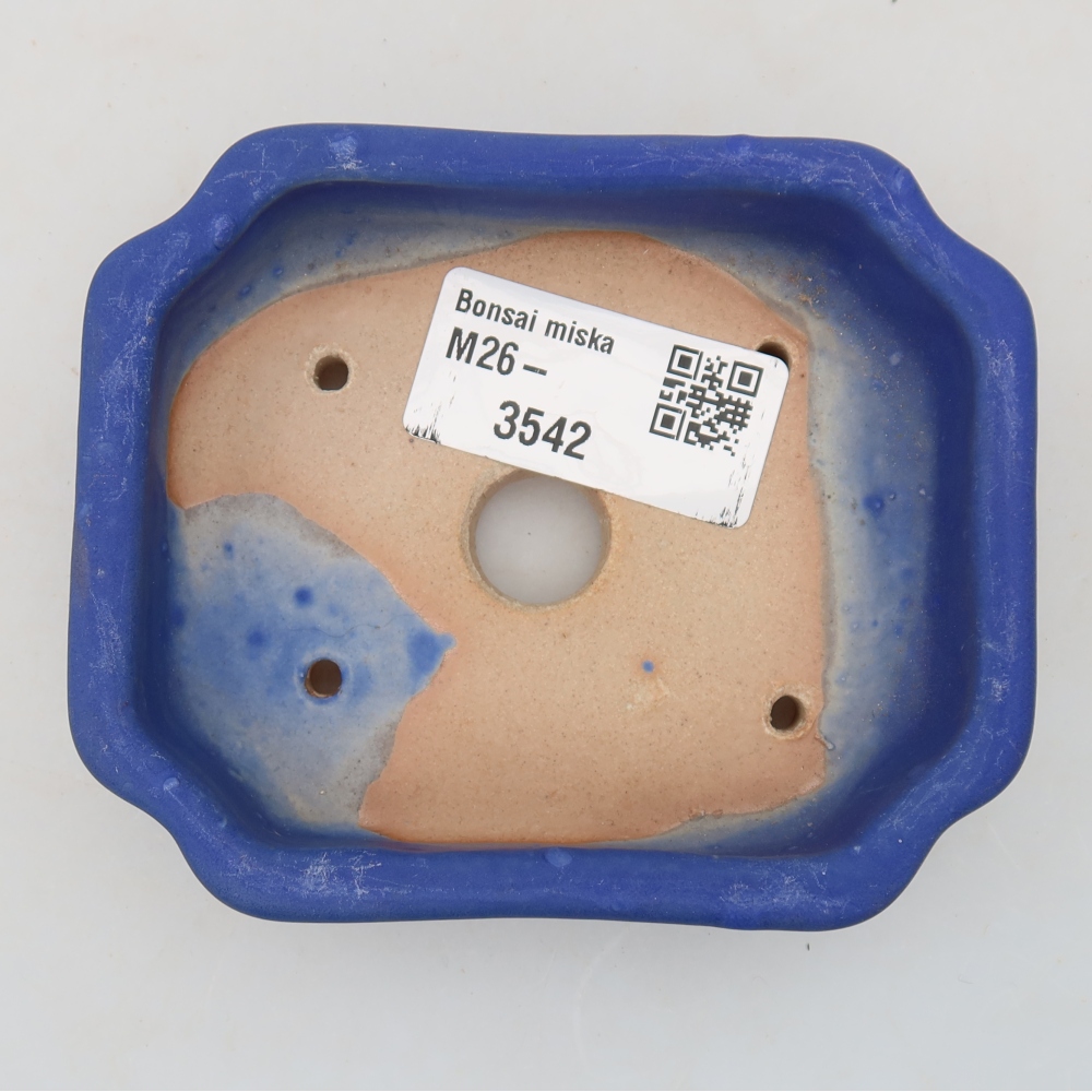 Bol à bonsaï en céramique 10 x 8 x 2,5 cm, couleur bleu