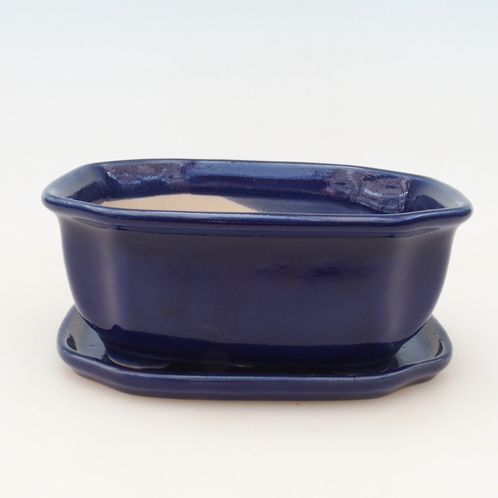 Bol Bonsaï + soucoupe H31 - bleu