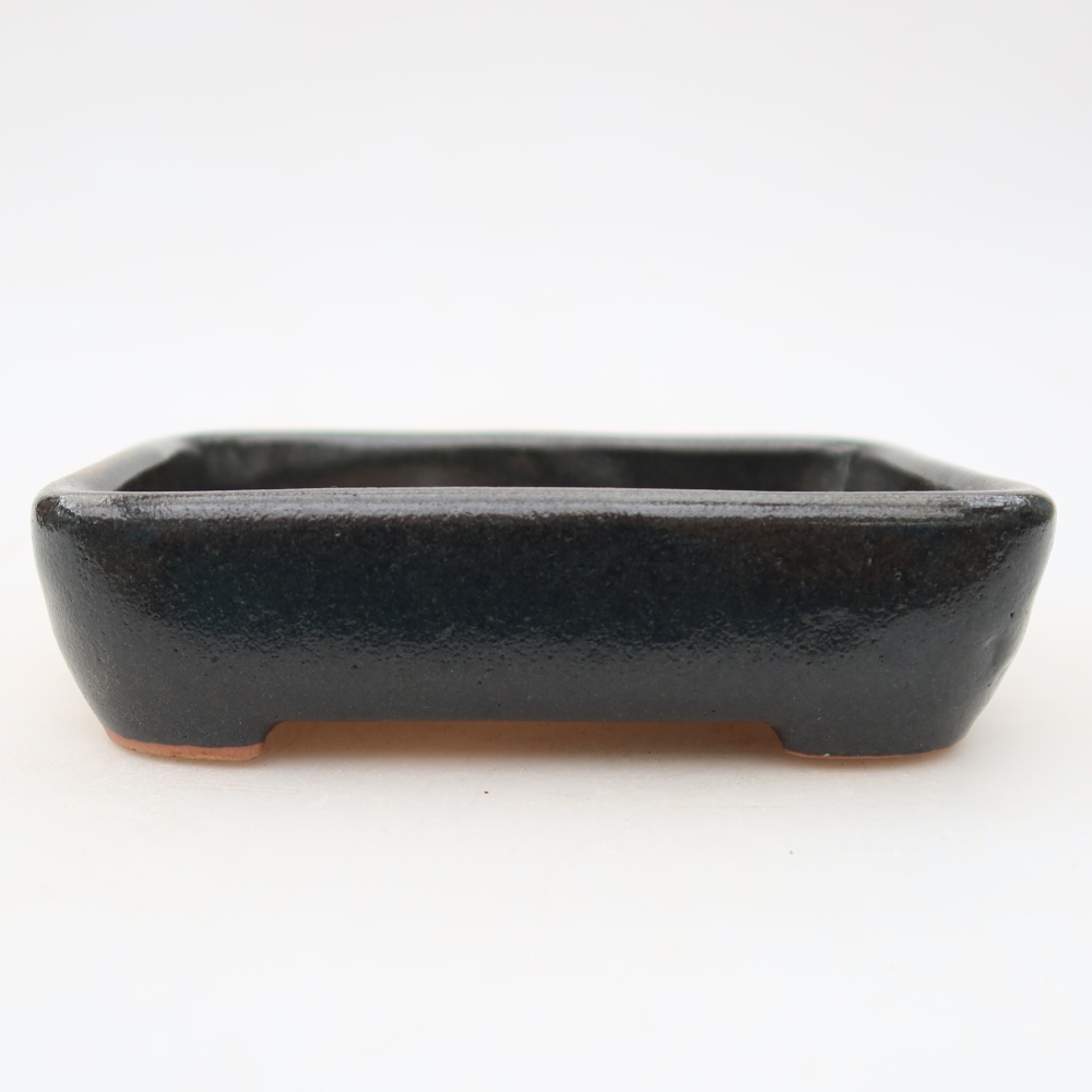 Pot à bonsaï en céramique 12,5 x 9 x 3,5 cm, couleur noire