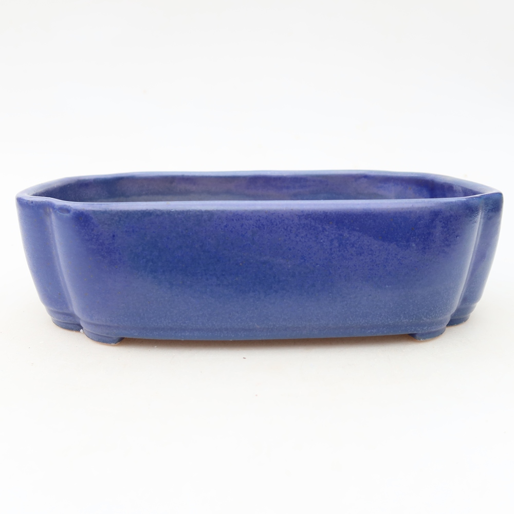 Pot à bonsaï en céramique 18,5 x 13 x 5 cm, couleur bleue