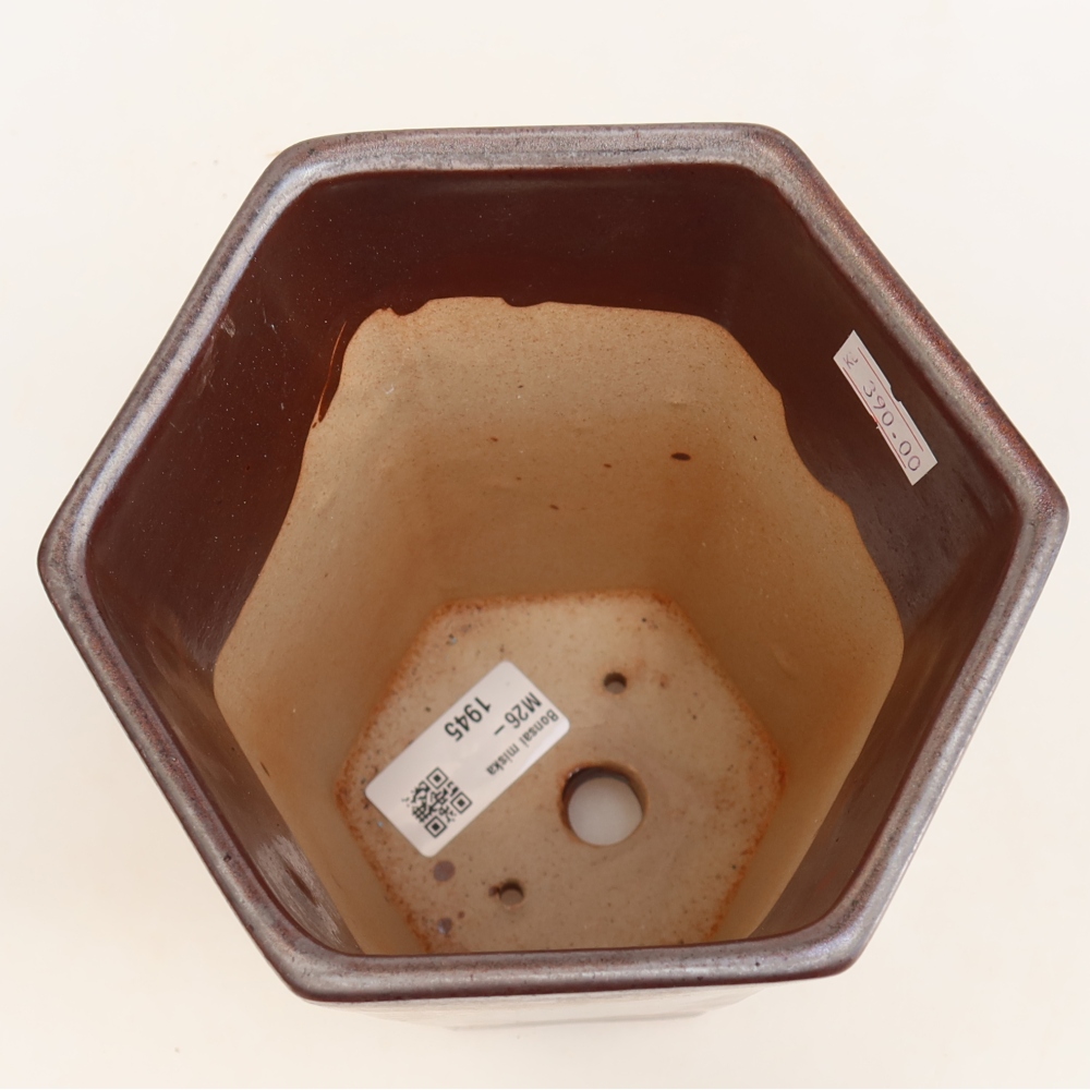 Pot à bonsaï en céramique 13 x 12 x 17 cm, couleur métallique