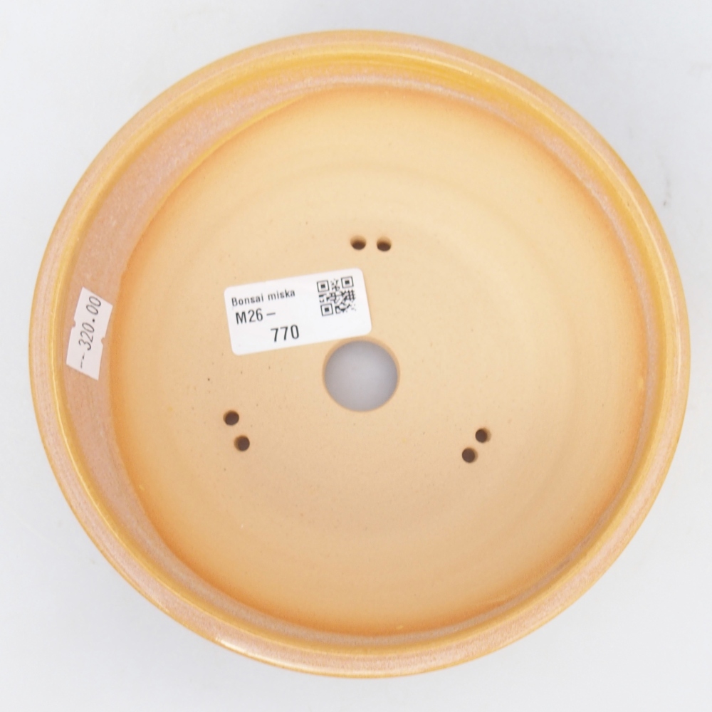 Bol à bonsaï en céramique 16 x 16 x 5,5 cm, couleur brun-jaune