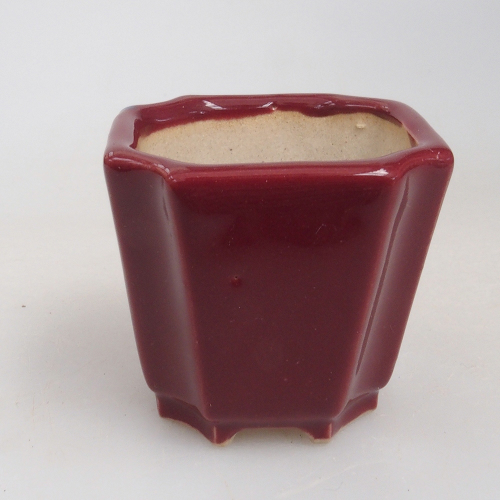 Mini bol bonsaï 4 x 4 x 4 cm, bordeaux