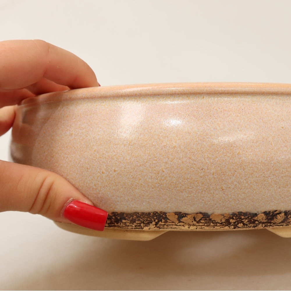 Pot à bonsaï en céramique 23 x 23 x 7 cm, couleur beige