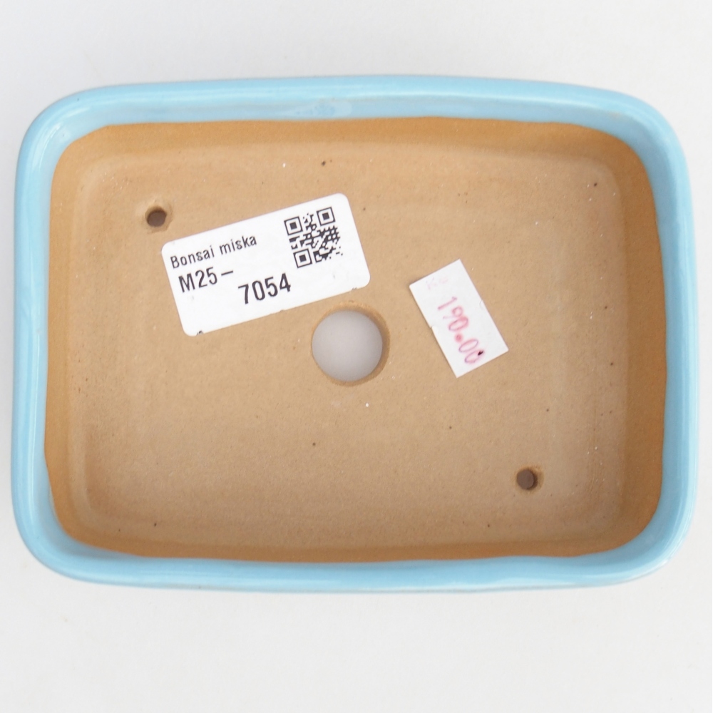Bol à bonsaï en céramique 12,5 x 9,5 x 3,5 cm, couleur bleu