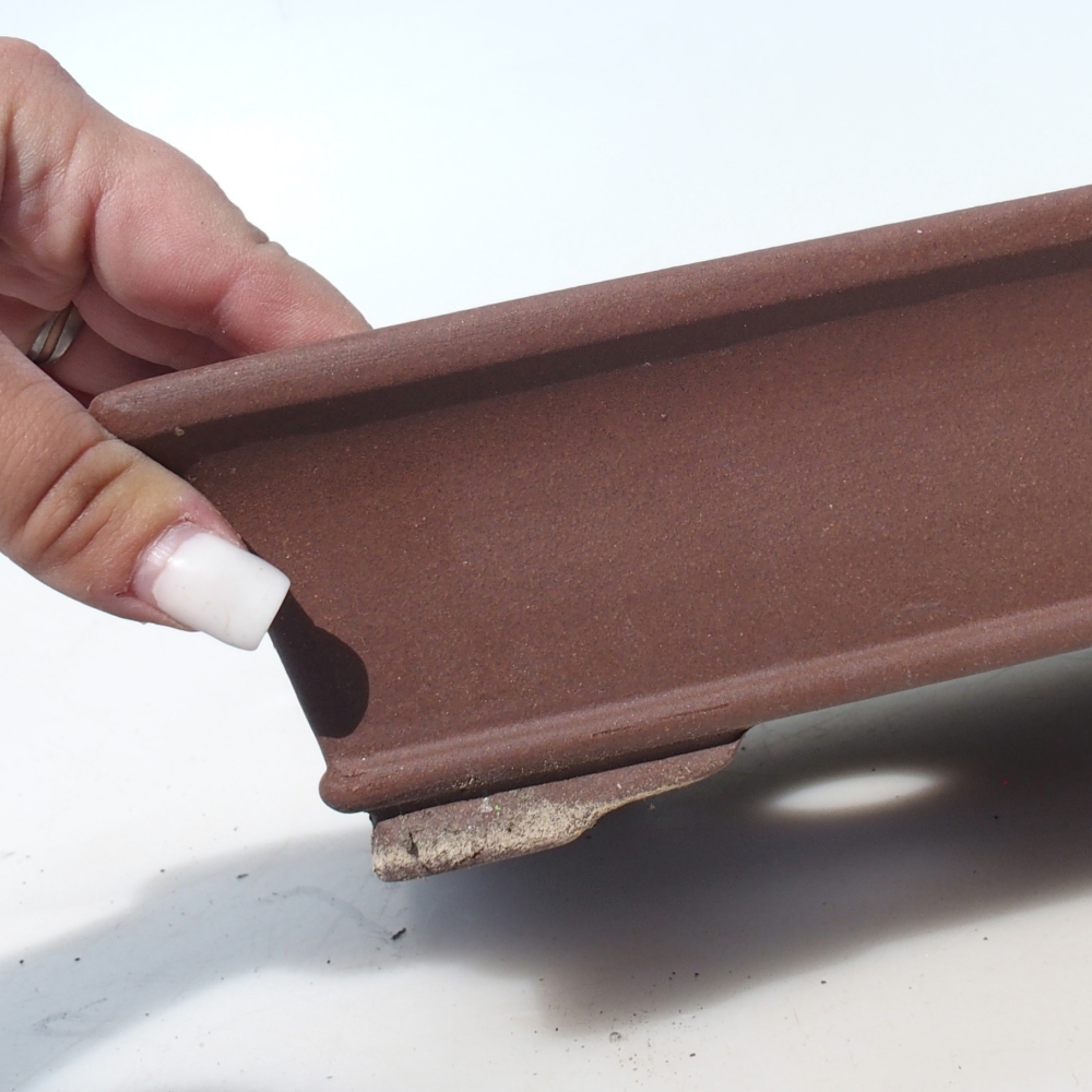 Bol pour bonsaï 30 x 24 x 7 cm bouleau brun