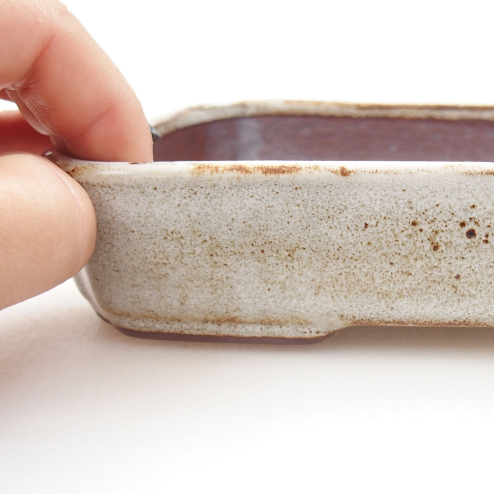 Bol à bonsaï en céramique 22 x 17 x 5 cm, vert