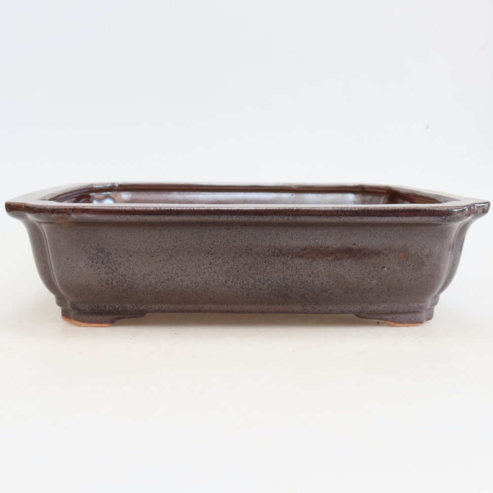 Pot à bonsaï en céramique 27,5 x 21,5 x 7 cm, couleur bordeaux