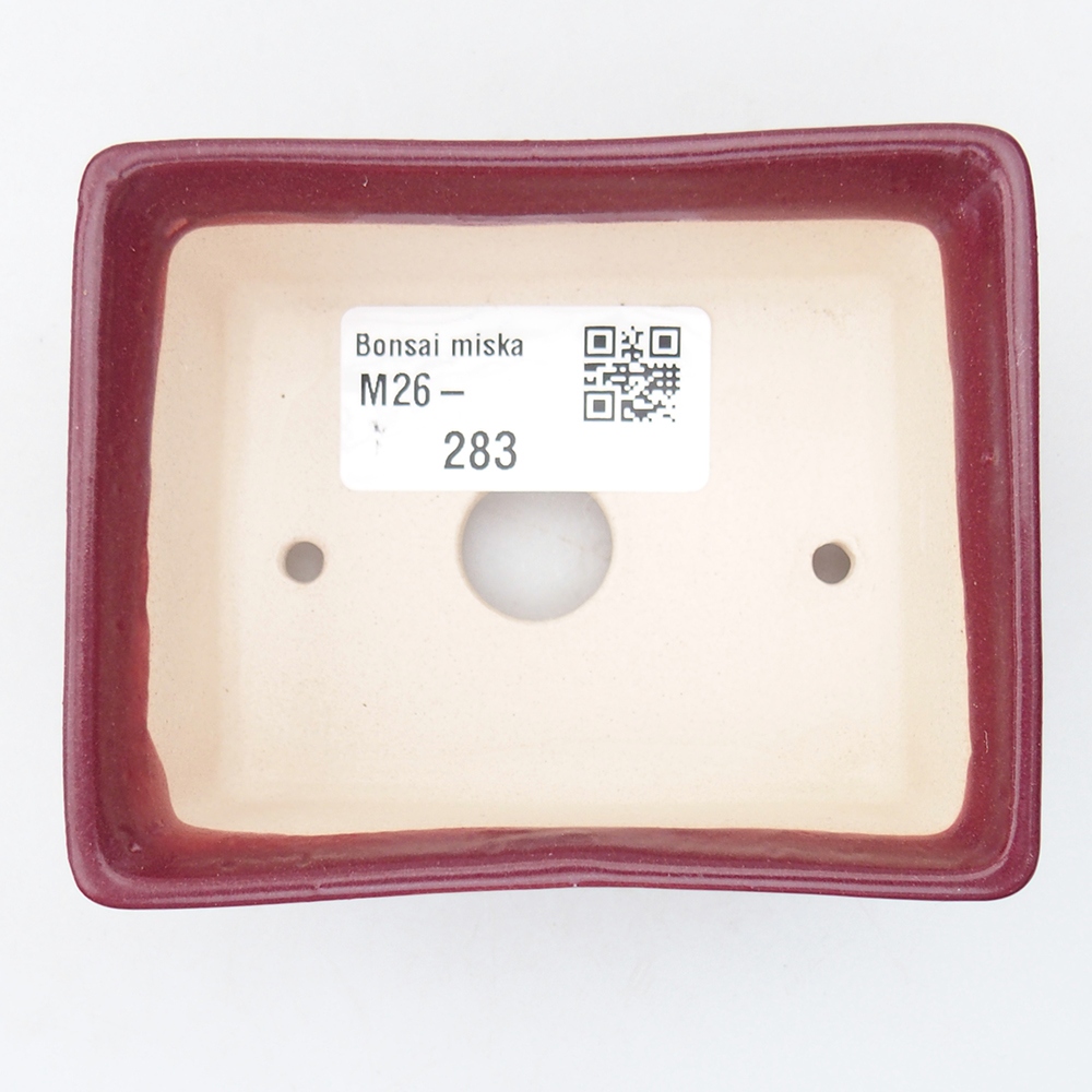 Mini bol bonsaï 9 x 7 x 4 cm, bordeaux