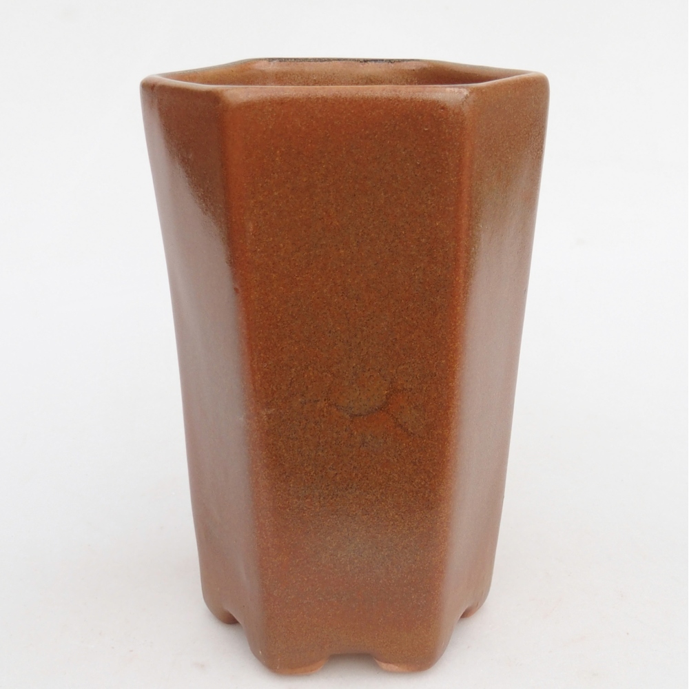 Bol à bonsaï en céramique 10 x 8,5 x 14,5 cm, brun