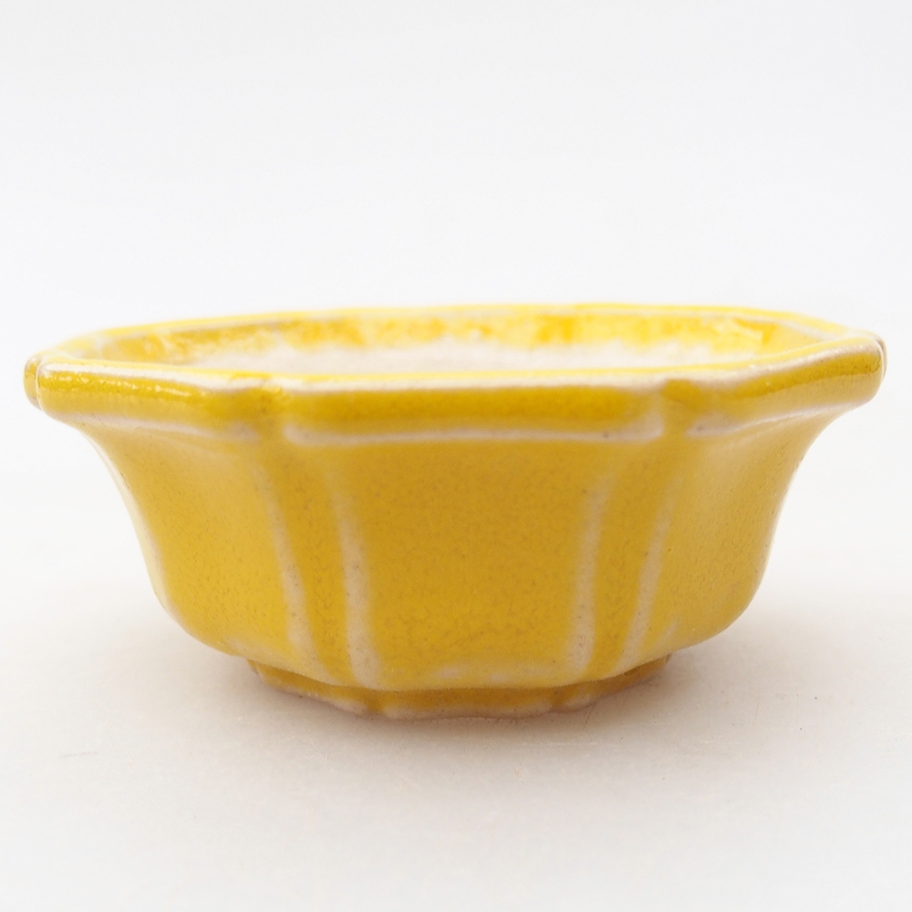 Mini bol bonsaï 6 x 6 x 2,5 cm, jaune